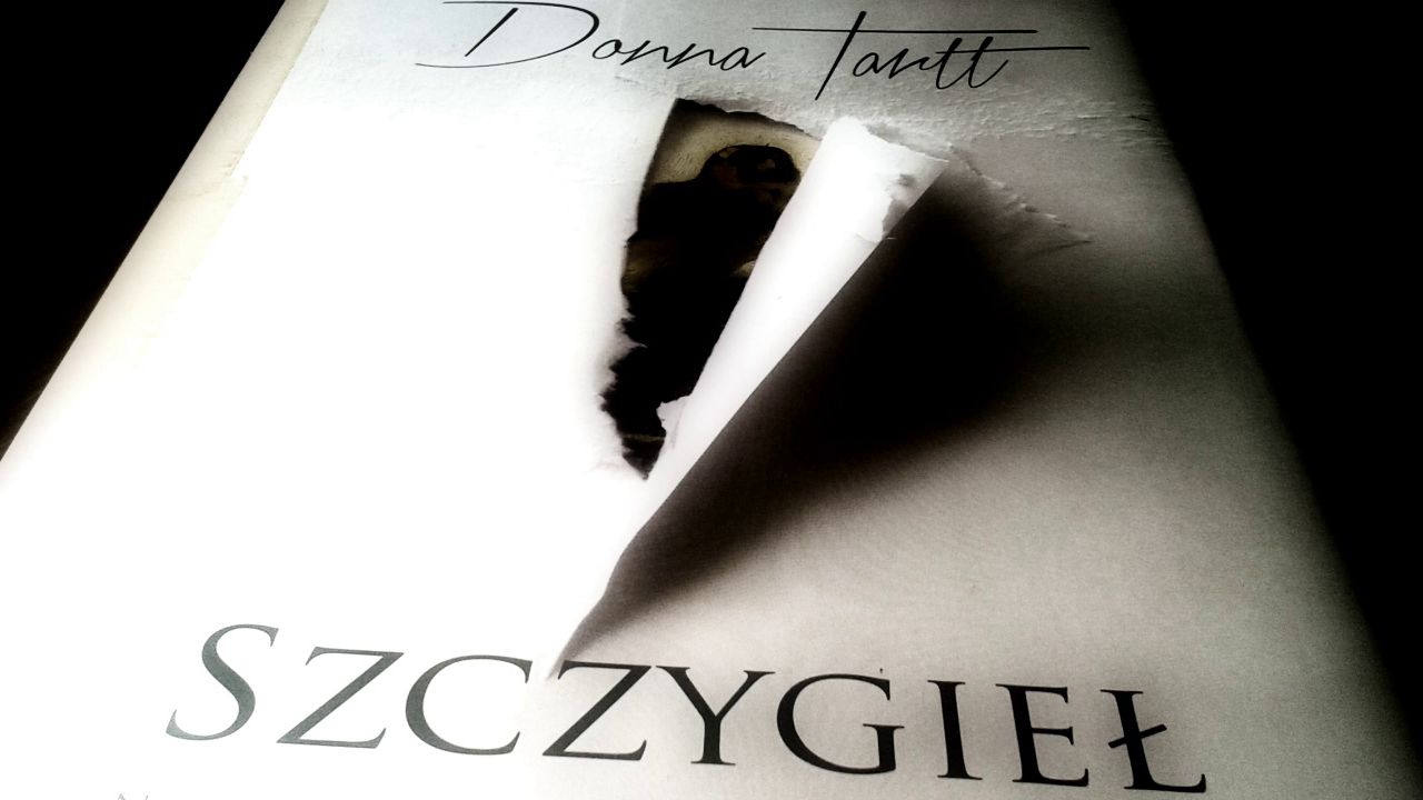 DKK zaprasza na rozmowy o książce „Szczygieł” – Donny Tartt